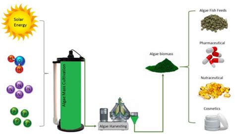 Microalgae cultivation and harvesting: Growth performance and use of ... - muktibox.com