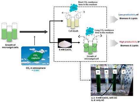 Microalgae-based technologies for carbon neutralization and pollutant ... - raincitystudios.com