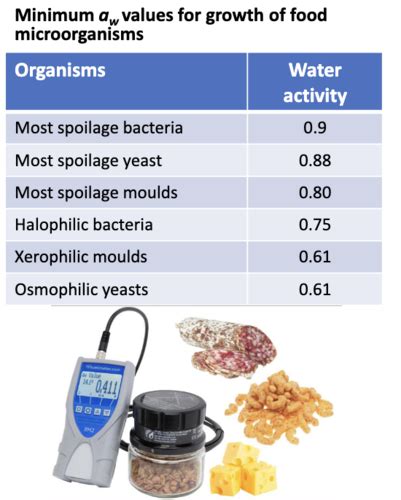 Microbes in Food Production Flashcards | Quizlet - wintechmobiles.com