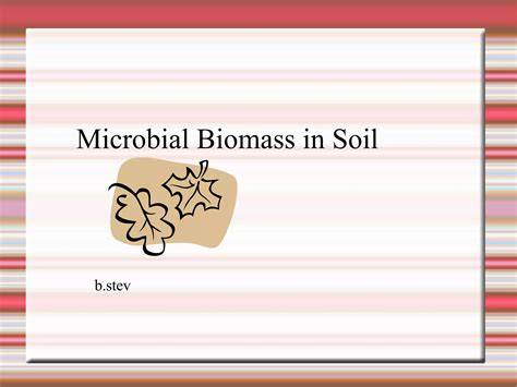 Microbial Biomass - an overview | ScienceDirect Topics - raincitystudios.com