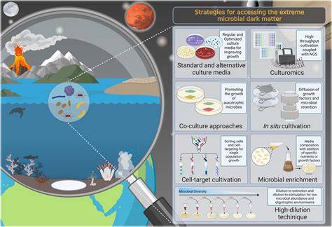 Microbial diversity in extreme environments - Nature - raincitystudios.com