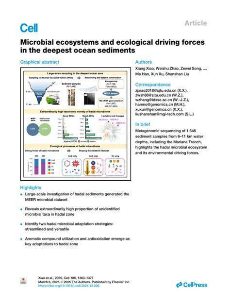 Microbial ecosystems and ecological driving forces in the deepest … - raincitystudios.com