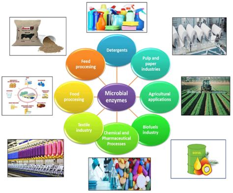 Microbial enzymes produced by fermentation and their ... - IJAIR - wintechmobiles.com