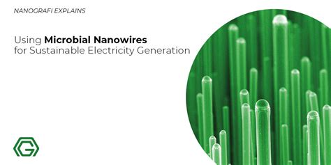 Microbial nanowires for sustainable electronics - Nature - wintechmobiles.com