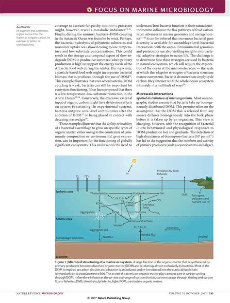 Microbial structuring of marine ecosystems - Nature - raincitystudios.com