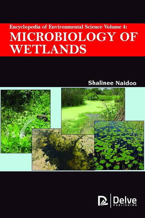 Microbiology of wetlands - Frontiers - raincitystudios.com