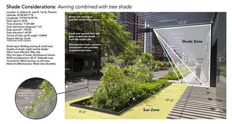 Microclimate Modification by Urban Shade Trees - ScienceDirect - raincitystudios.com