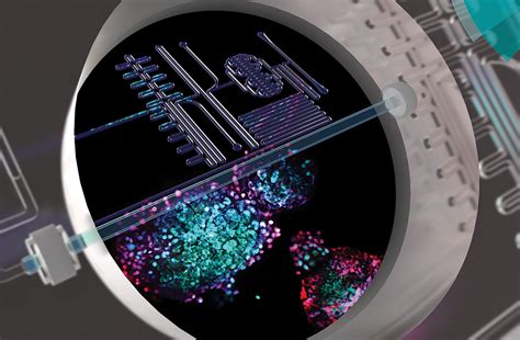 Microfluidic Chip,LNP,Droplet Microfluidic – FluidicLab - wintechmobiles.com