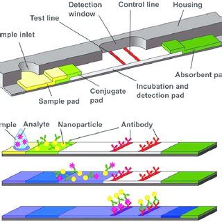Microfluidic Lab-on-a-Chip Platforms: Requirements - wintechmobiles.com