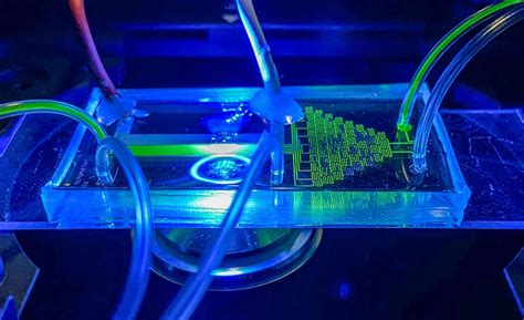 Microfluidic Technology - an overview | ScienceDirect Topics - wintechmobiles.com