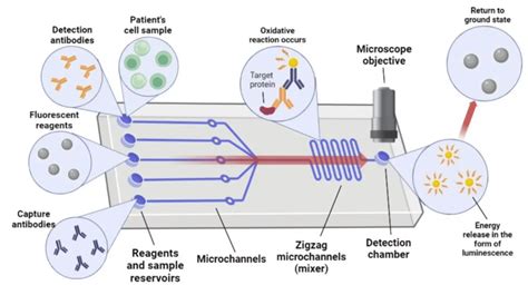 Microfluidics and Lab-on-a-Chip - Royal Society of … - wintechmobiles.com