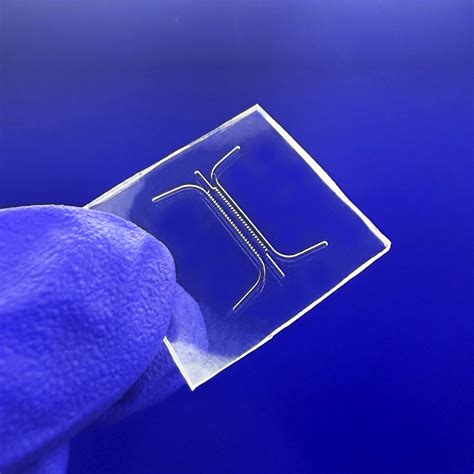 Microfluidics in 2025: Applications, Trends & How It Work - wintechmobiles.com