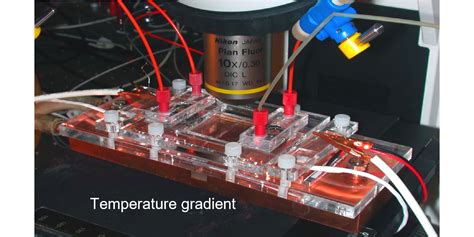 Microfluidics Laboratory - wintechmobiles.com