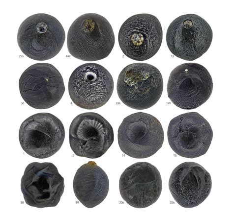 Micrometeorites in Roof Dust/Debris - InspectAPedia - wintechmobiles.com