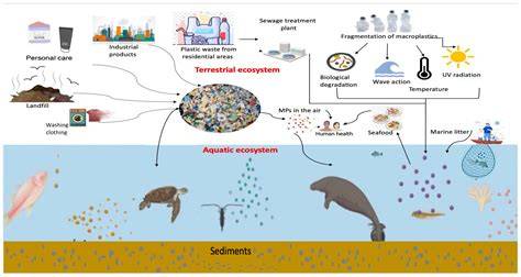 Microplastics in marine environment: a review on sources ... - raincitystudios.com