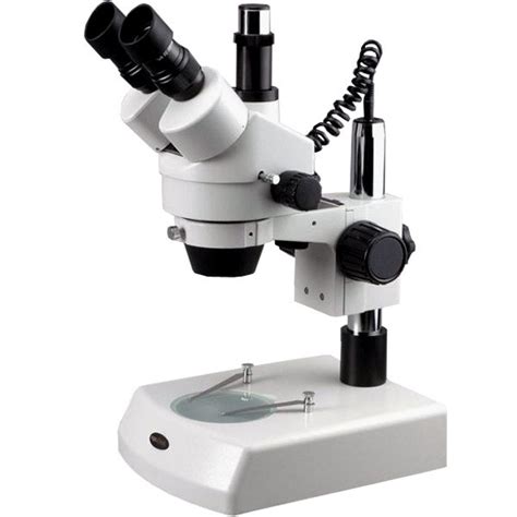 Microscope 101: How to Focus a Stereo Microscope - wintechmobiles.com