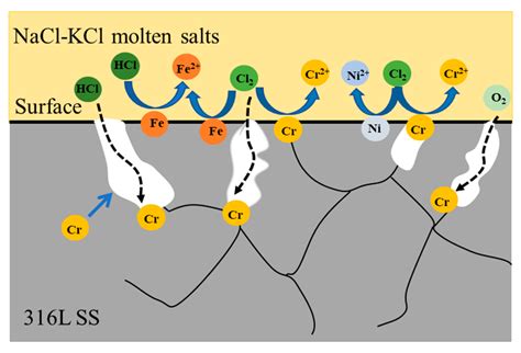 Microscopic Processes of Salt Dissolution and Nucleation - wintechmobiles.com