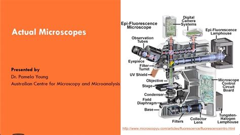 Microscopy: Intro to microscopes & how they work (article ... - Khan ... - wintechmobiles.com