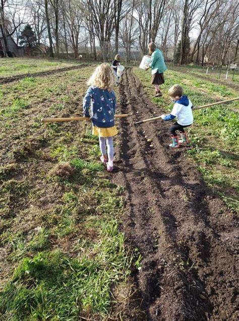 Mid March planting at KC Farm School Potatoes ... - raincitystudios.com