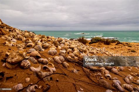 Midden - Sampah Sampah Arkeologis - wintechmobiles.com