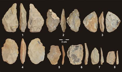 Middle Paleolithic Tool and Subsistence Patterns - Wikibooks - wintechmobiles.com