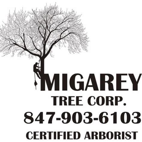 MIGAREY TREE CORP. in Des Plaines, IL Company Info & Reviews