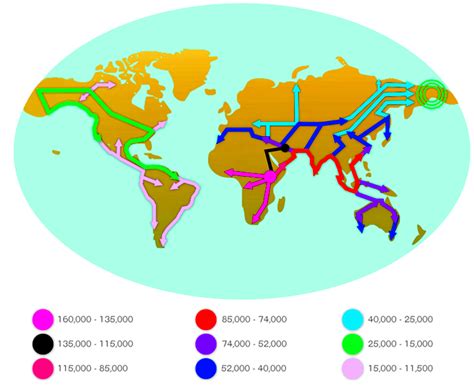 Migrasi awal manusia - Wikipedia bahasa Indonesia, ensiklopedia bebas - wintechmobiles.com