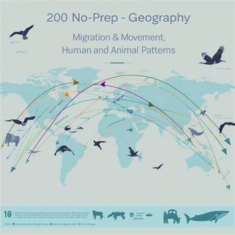 Migration and Movement Patterns - ScienceDirect - raincitystudios.com