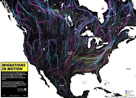 Migrations in Motion | The Nature Conservancy - wintechmobiles.com