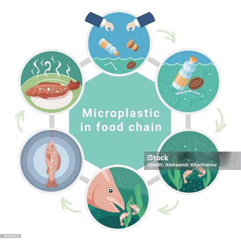 Mikroplastik Mencapai Laut Dalam Indonesia, Mengancam Rantai Makanan ... - raincitystudios.com