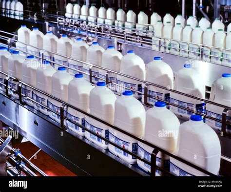 Milk Processing Plant & Milking Machine by Humma Dairy And Agro ... - coolestguyplanet.net