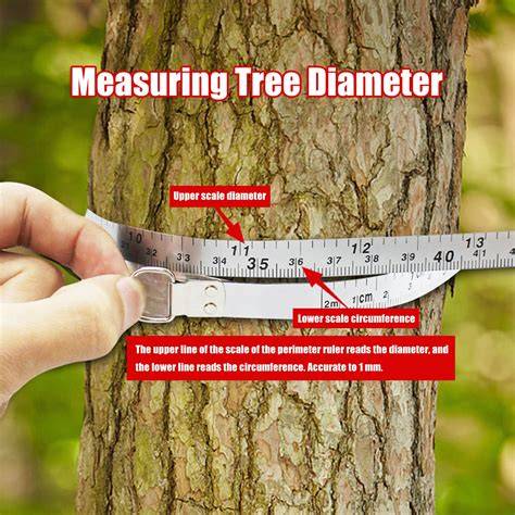 Million Tree Diameter Tape - 10m. Made in Japan. | Arborgreen - raincitystudios.com