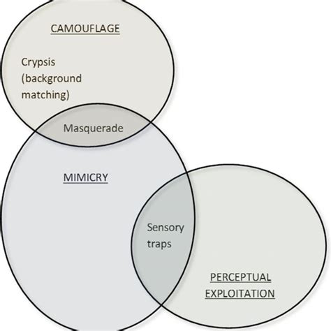 Mimicry, Camouflage and Perceptual Exploitation: the Evolution of ... - muktibox.com