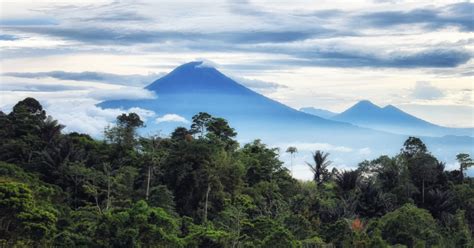 Minahasa Heritage & Waruga Tour - Shore Excursions Asia - wintechmobiles.com