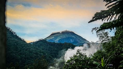 Mindanao Montane Rainforests | One Earth - raincitystudios.com