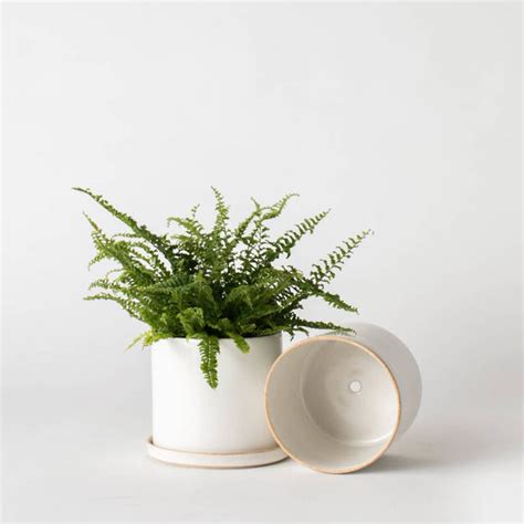 Minimal Stoneware Planter - Etsy - muktibox.com