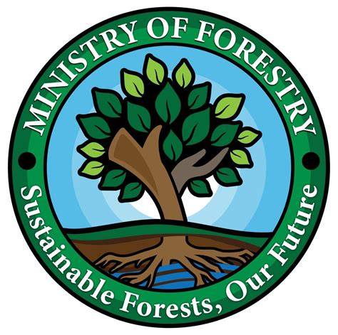 Ministry of Forestry, Fiji... - Ministry of Forestry, Fiji - raincitystudios.com