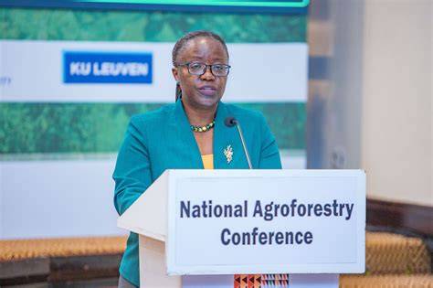 MINISTRY OF LANDS AND FORESTRY Rwanda National Forestry Policy 2018 - raincitystudios.com