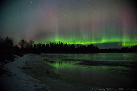 Minnesota Northern Lights Viewing and Photography - 365 Days of Birds - wintechmobiles.com