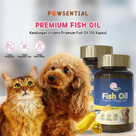 Minyak Ikan - Manfaat, Dosis, dan Efek Samping - Alodokter - raincitystudios.com