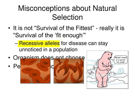 Misconceptions about natural selection - Understanding Evolution - muktibox.com