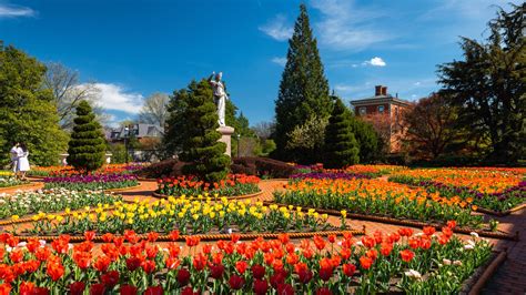 Missouri Botanical Garden (2026) - All You MUST … - raincitystudios.com