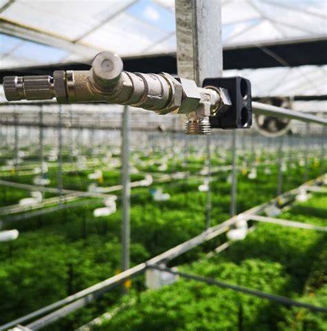 Misting Systems for Greenhouses - raincitystudios.com