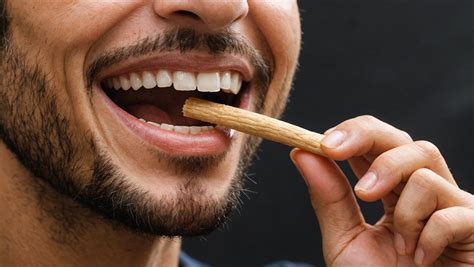 Miswak Stick: An Ancient Tool for Modern Oral Care - wintechmobiles.com