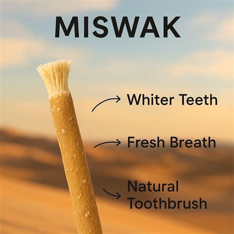 Miswak Toothbrush - You Should Use A Stick To Brush … - wintechmobiles.com