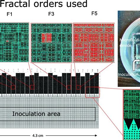 MIT's Fractal OS: Revolutionizing Chip Research & Uncovering Apple M1 Vulnerabilities (2026)