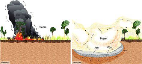 Mitigating smoldering peatland fire via buried heat pipes: a new ... - raincitystudios.com