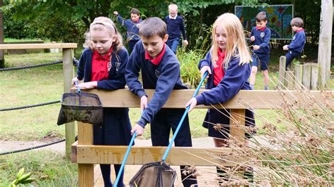 MIXED AGE CLASSES IN URBAN PRIMARY SCHOOLS