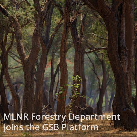 MLNR Forestry Services on ZamPortal - raincitystudios.com