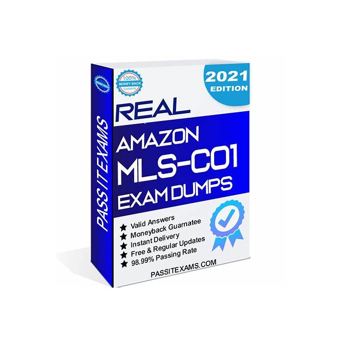 Valid MLS-C01 Test Discount